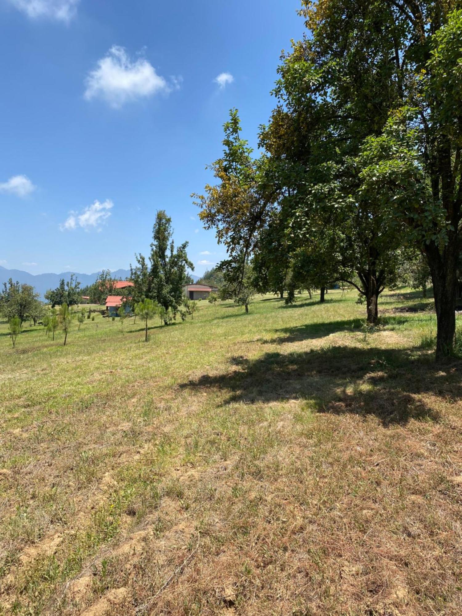 Cabanas Huerta La Mision, Zacatlan Luaran gambar